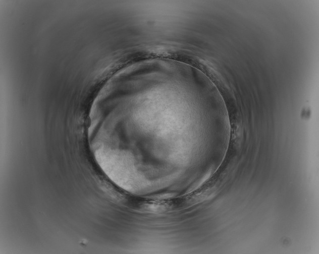 X0000090910466200708201746