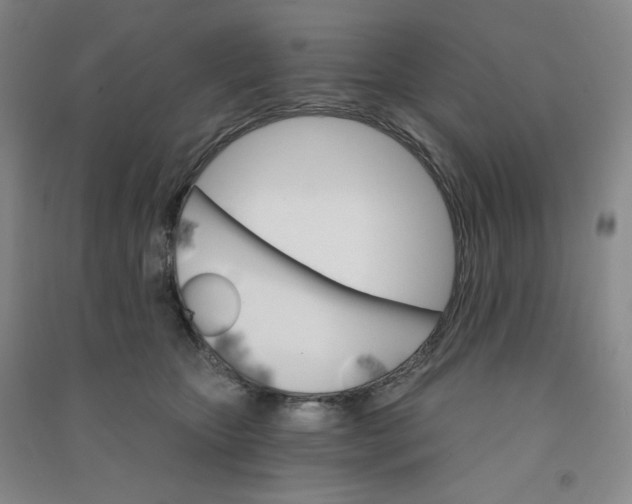 X0000090910467200708201746