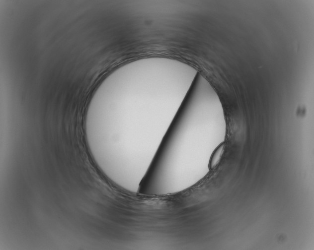 X0000090910470200708201746