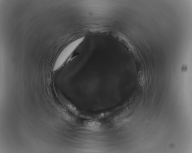 X0000090910471200708201746