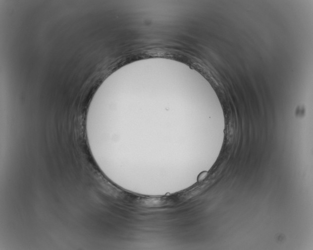 X0000090910473200708201746