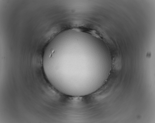 X0000090910474200708201746