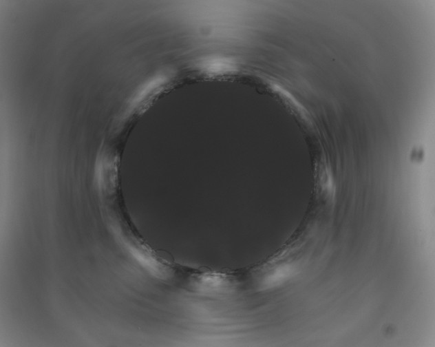 X0000090910475200708201746