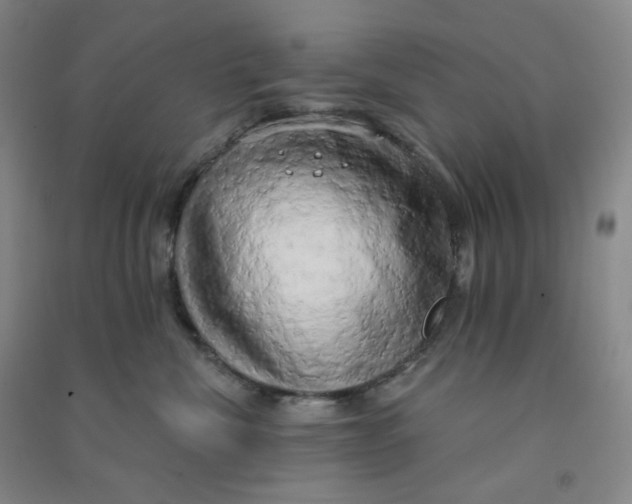 X0000090910476200708201746