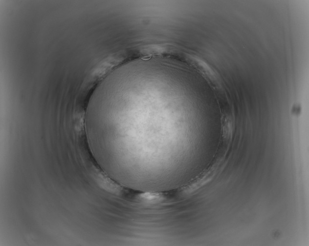 X0000090910477200708201746