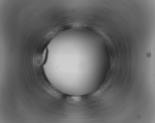 X0000090910478200708201746