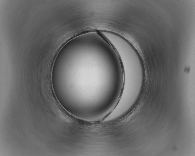 X0000090910481200708201745