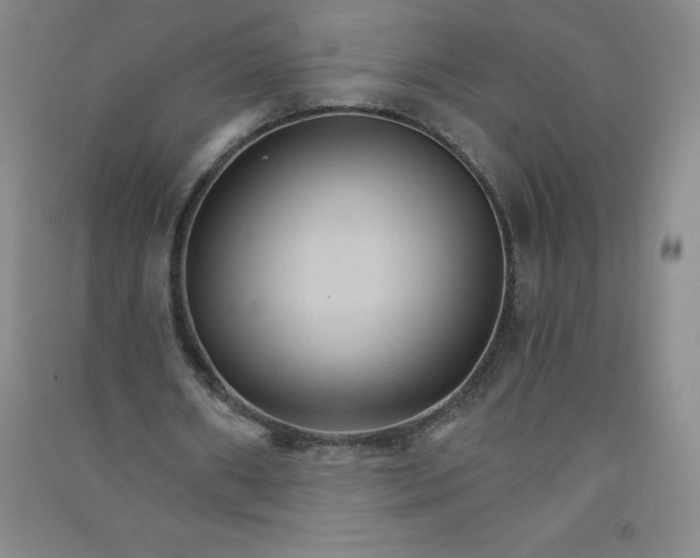 X0000090910482200708201745