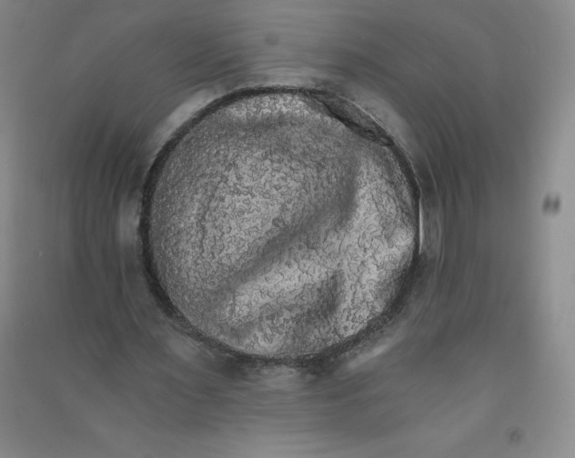 X0000090910483200708201745