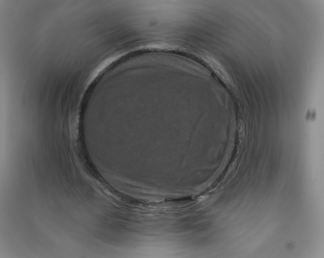 X0000090910484200708201745