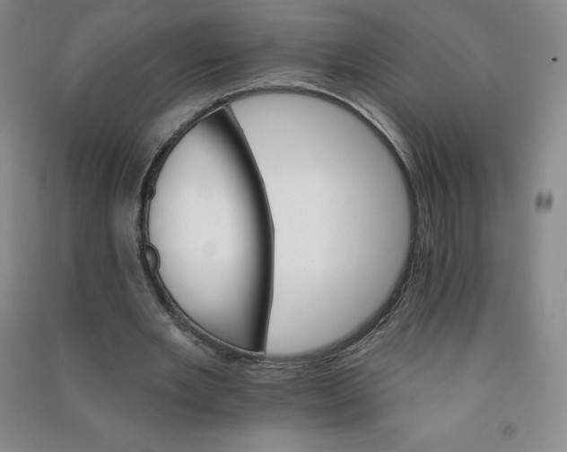 X0000090910485200708201745