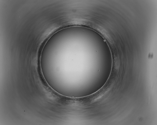 X0000090910486200708201745