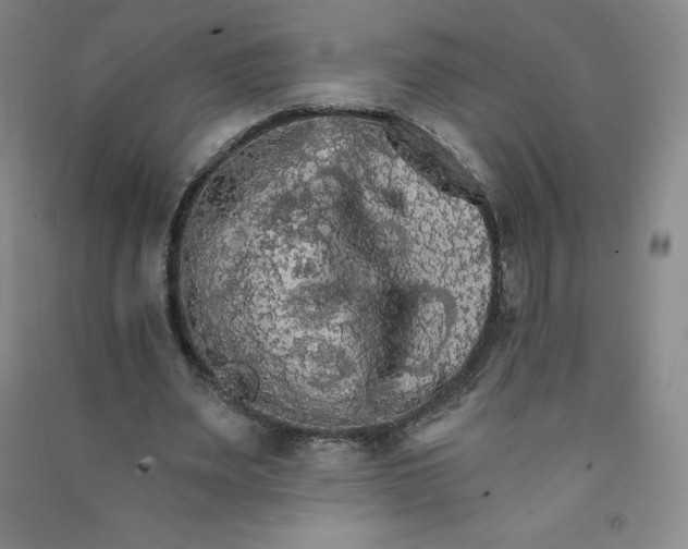 X0000090910487200708201745