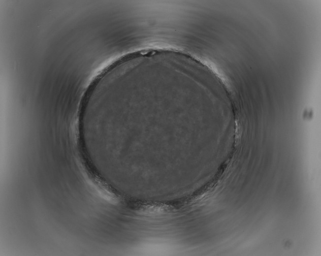 X0000090910488200708201745