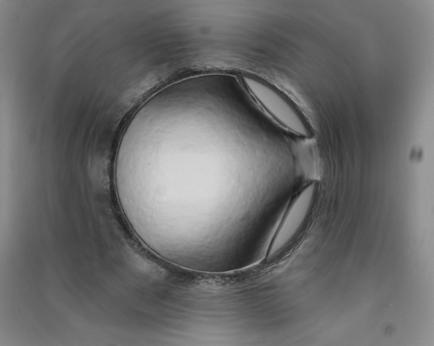 X0000090910489200708201745