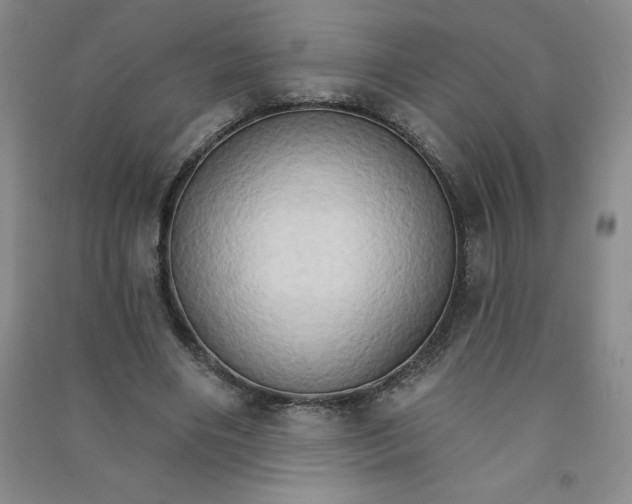 X0000090910490200708201745