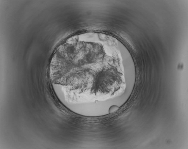 X0000090910491200708201745