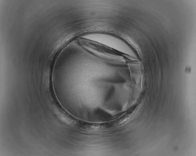 X0000090910493200708201745