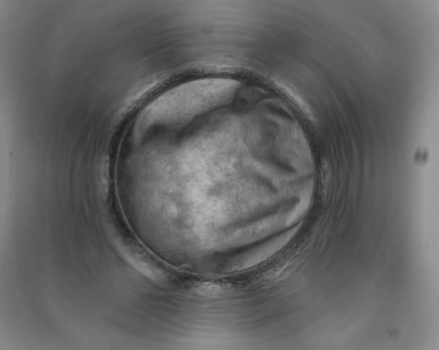 X0000090910494200708201745