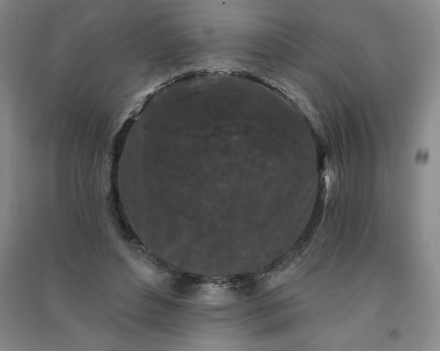 X0000090910496200708201745