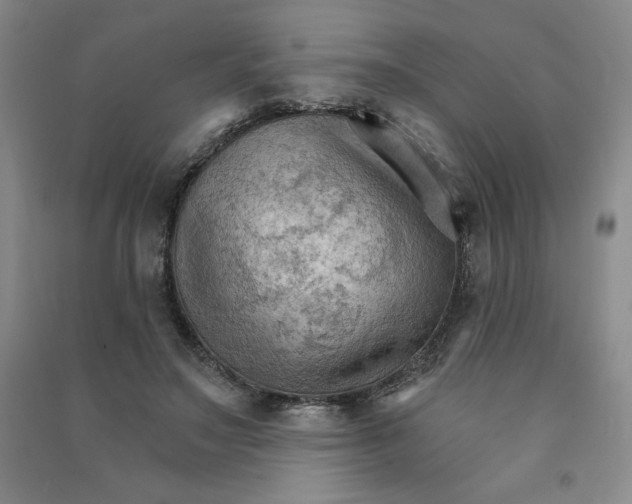 X0000090910499200708201745