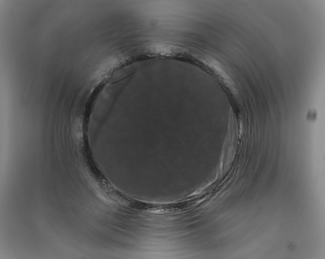 X0000090910500200708201745