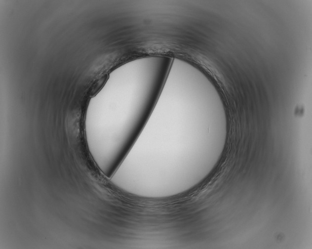 X0000090910501200708201745