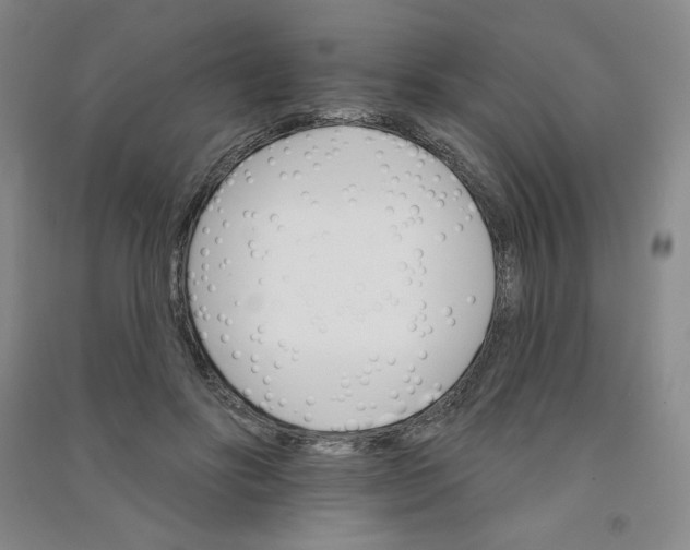 X0000090910502200708201745