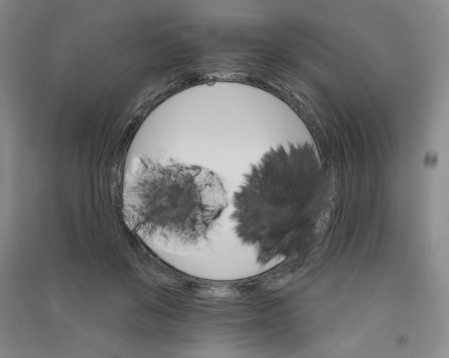 X0000090910503200708201745