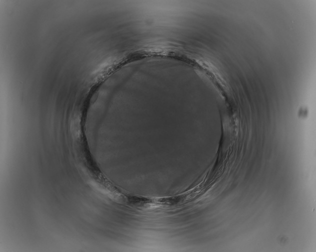 X0000090910504200708201745