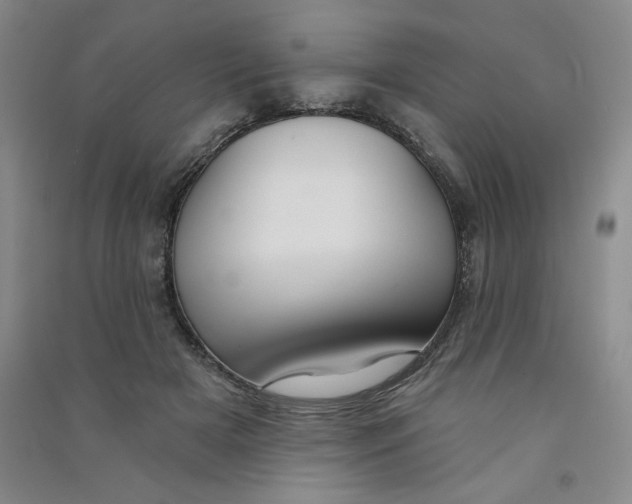 X0000090910505200708201745