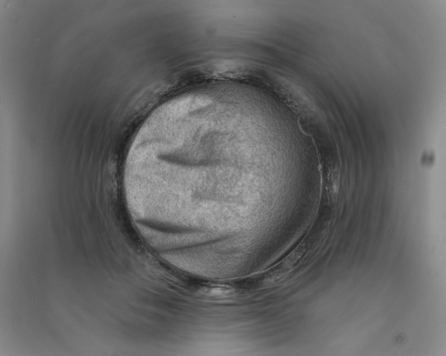 X0000090910506200708201745