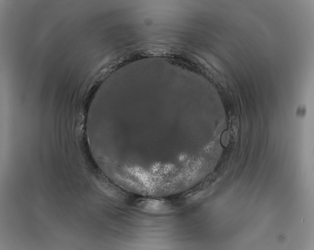 X0000090910507200708201745