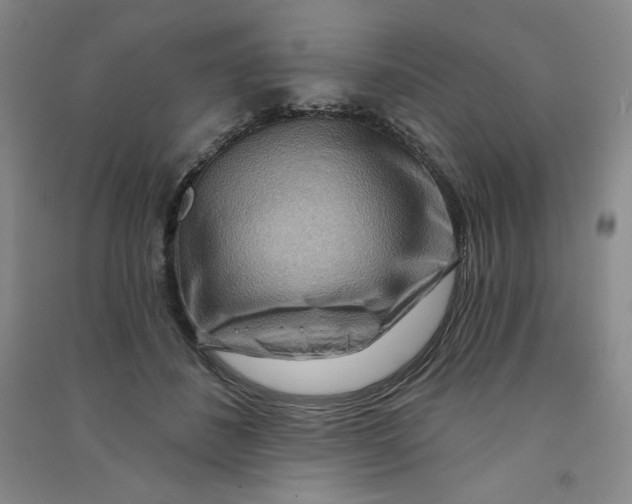 X0000090910508200708201745