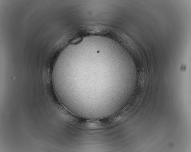 X0000090910510200708201745