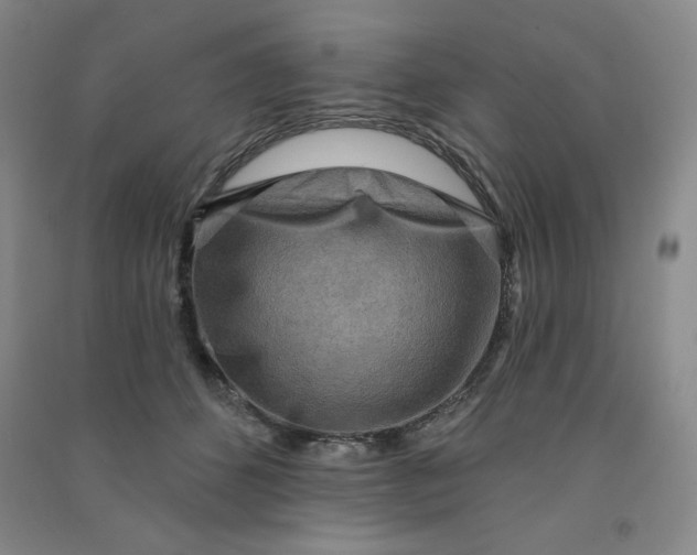 X0000090910512200708201745