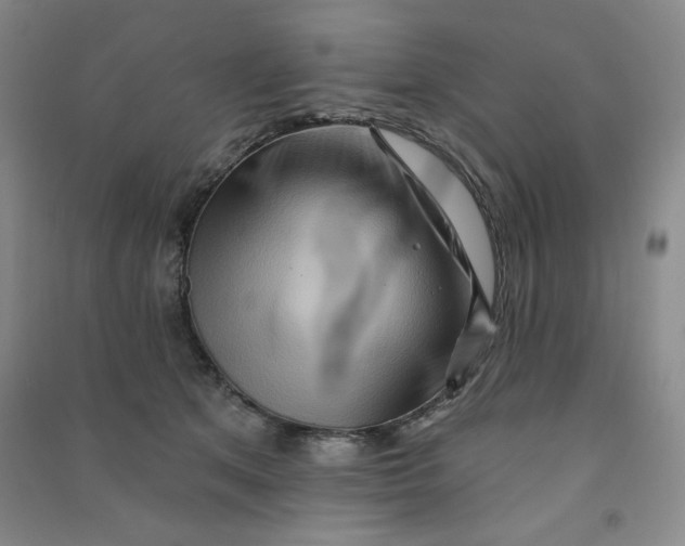 X0000090910513200708201745