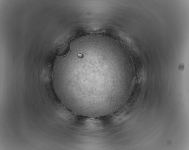 X0000090910515200708201745