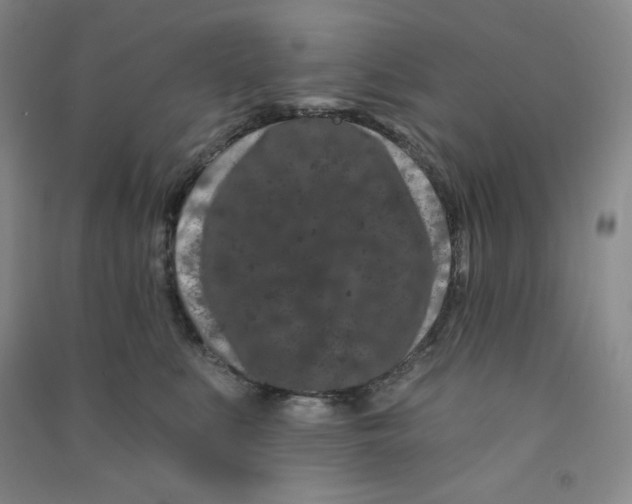 X0000090910519200708201745