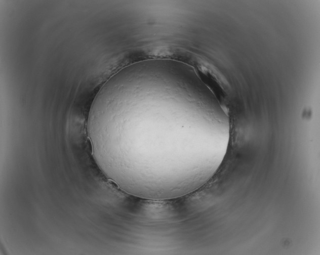 X0000090910521200708201745