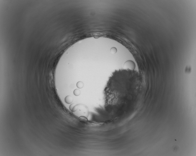 X0000090910523200708201745