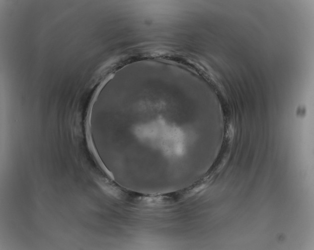 X0000090910524200708201745