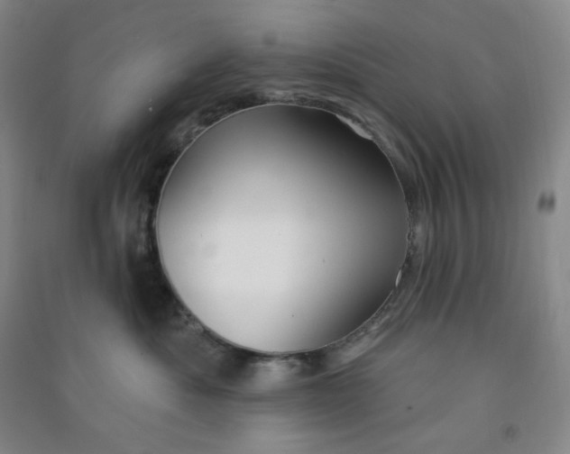 X0000090910525200708201745