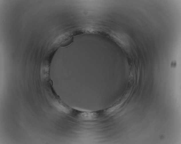 X0000090910526200708201745