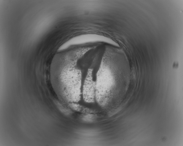 X0000090910527200708201745