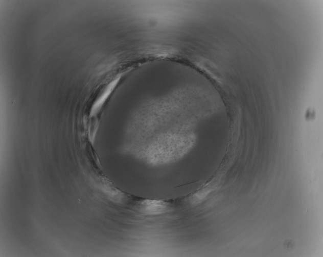 X0000090910528200708201744