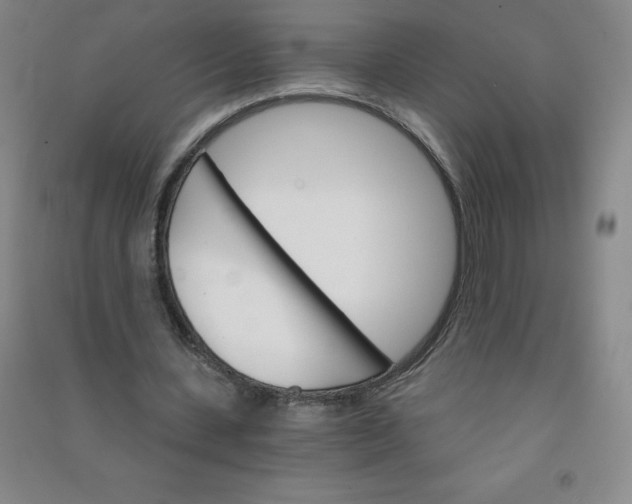 X0000090910531200708201744