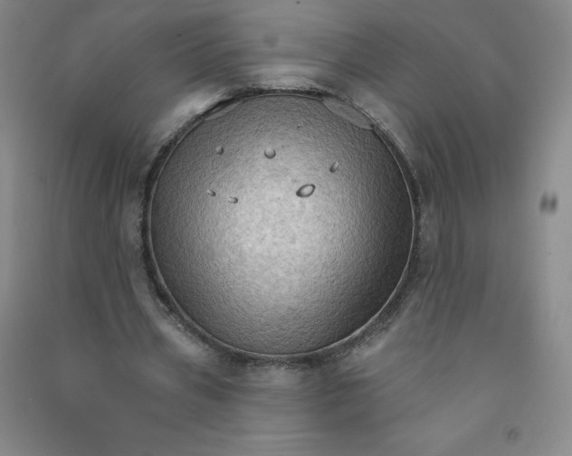 X0000090910533200708201744