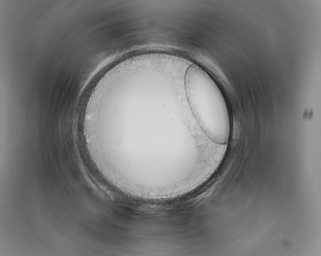 X0000090910534200708201744