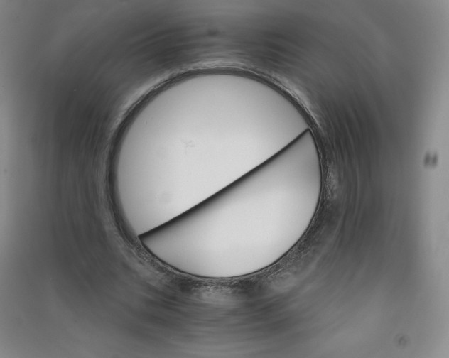 X0000090910535200708201744